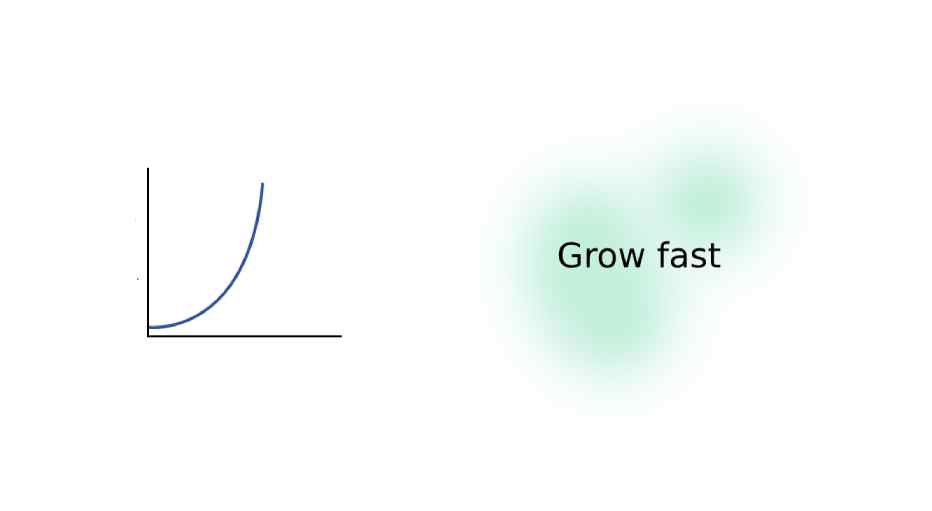 Grow fast with paid ads