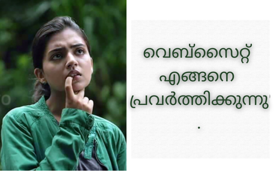വെബ്സൈറ്റ് എങ്ങനെ പ്രവർത്തിക്കുന്നു.