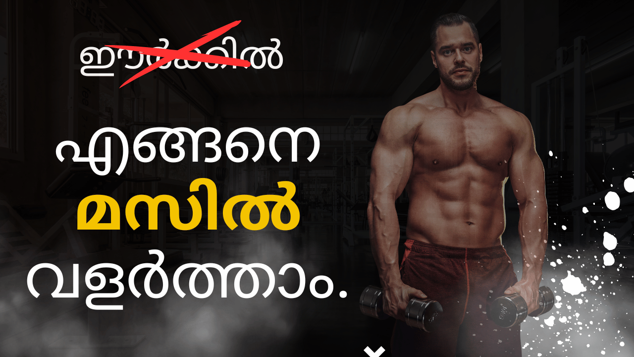 മസിൽ എങ്ങനെ വളർത്താം -  11 muscle building tips.